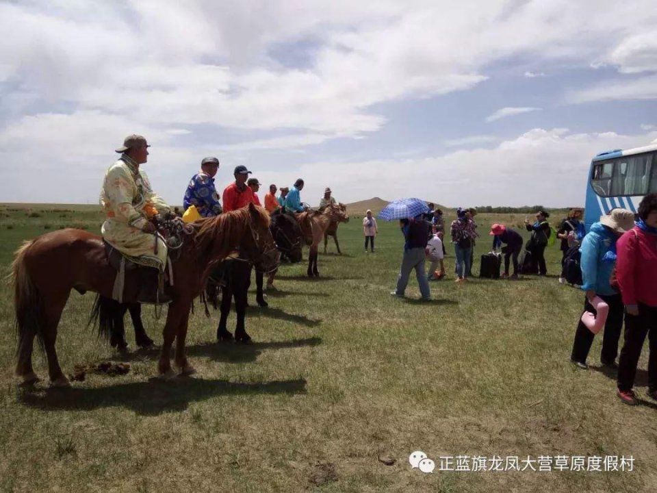 天津出发 奔赴离津最近的内蒙古大草原尽享蓝天绿地的无边自由