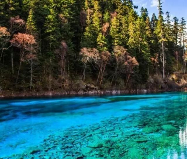 中国国内藏着不少旅游之地:四川九寨沟,贵州六