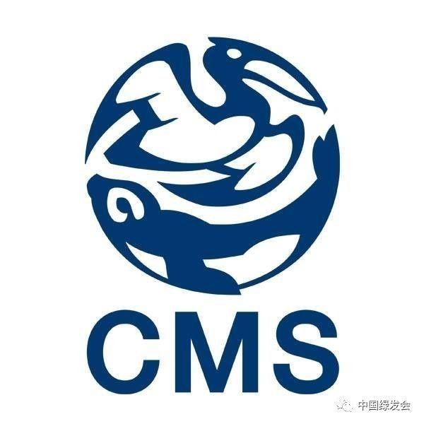 联合国保护野生动物迁徙物种公约赞绿会濒危物