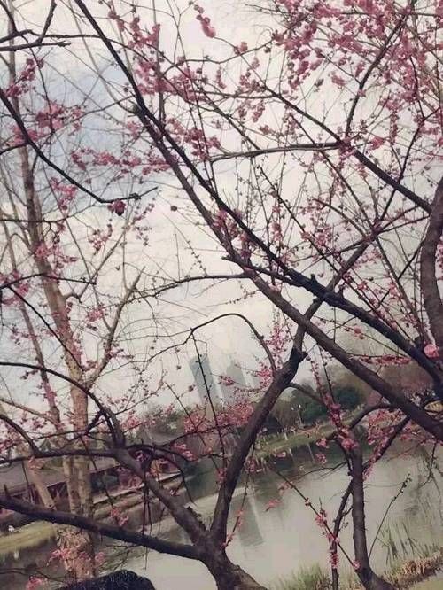 也许我们都错了,有些三四五线房产仍然值得买!