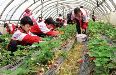 小学生参加社会实践活动总结