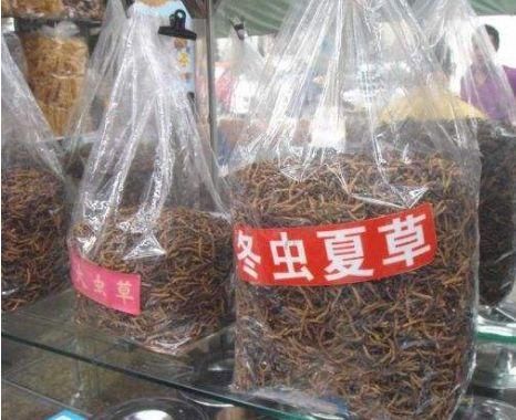 原国家食药监局：卖到10万元1公斤的虫草不属保健品，重金属砷含