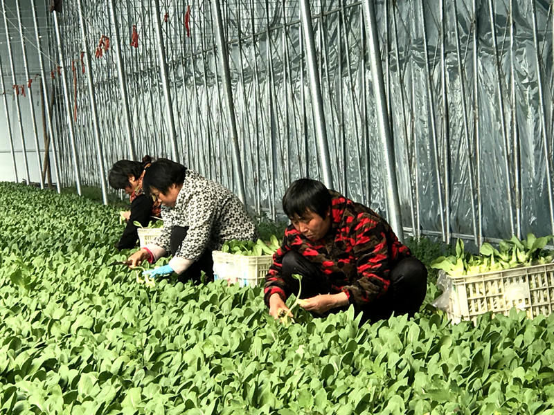 沈丘县属于哪个市