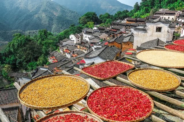 江南的春天最美是油菜花,而这里的油菜花美到不像话