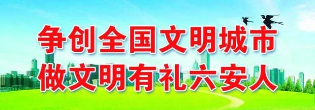 事发磨子潭路！今天，六安交警、城管联合清理这些车辆！