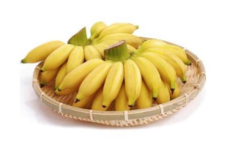 都乐香蕉是哪个国家的 原产地为菲律宾