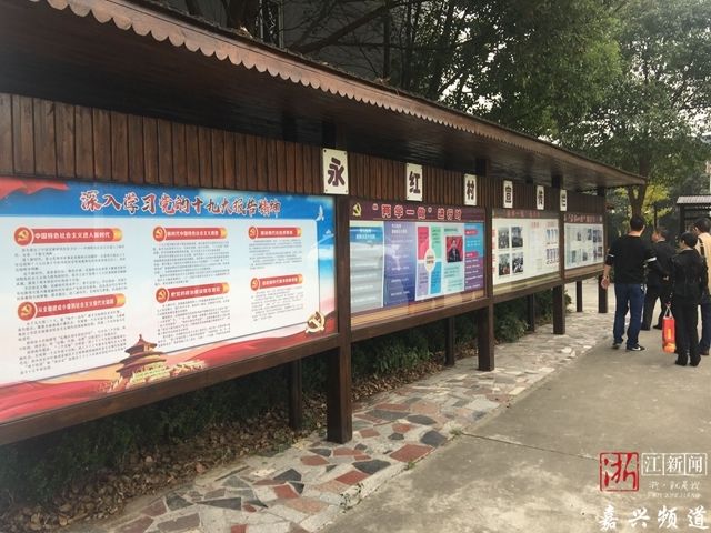 走基层看发展 | 从创业创新到乡村振兴 南湖区迸