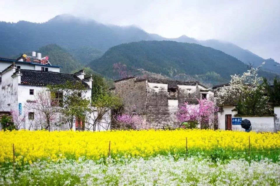 【每月在路上】三月,送你最in的赏花攻略,十大赏花胜地,愿你不