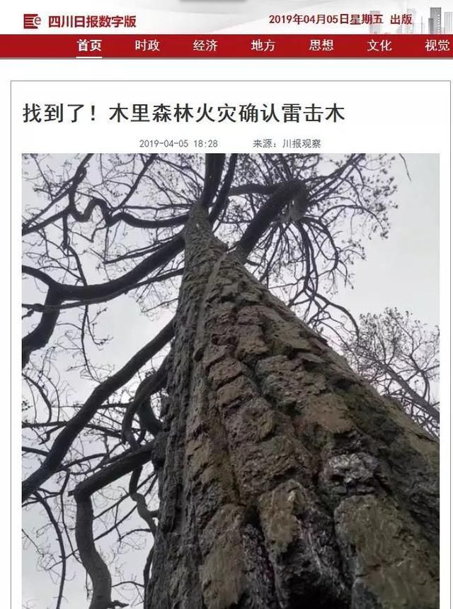 四川凉山森林火灾起火原因确认!