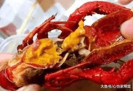 龙虾头部的虾黄可以吃吗?那究竟是细菌,还是营