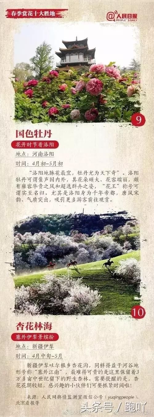 清明出游去哪儿？春季赏花十大胜地