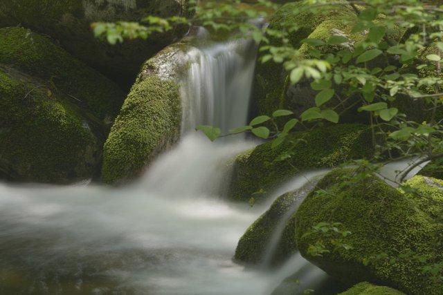 秦岭神奇第一谷 红河谷有落差八十多米的陕西第一瀑