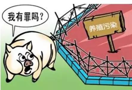 说法时间｜在村里搞规模化养猪，为啥被罚了15万元？