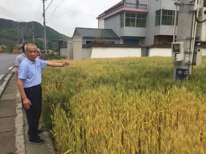 8年发生数起重大交通事故 这段7.2公里省道让人发怵