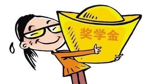 哪个大学的奖学金