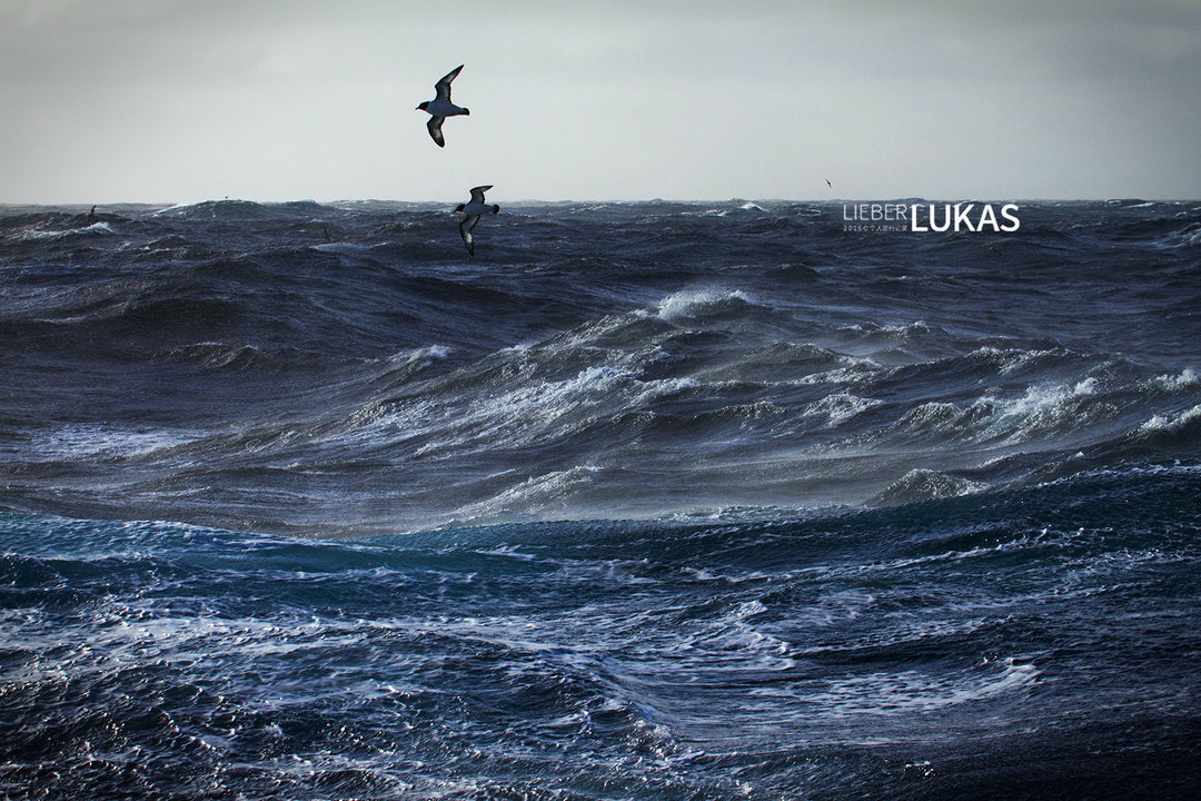 真实的德雷克海峡 t01f35fcc170994bb3f.jpg