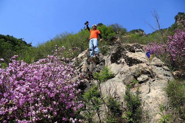 白山户外群关门砬子观映山红休闲一日游