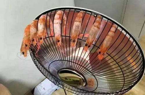 大学寝室的做饭神器,干冰灶和电水壶最常见,最