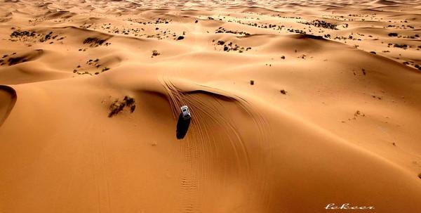 荒漠也不是荒漠了