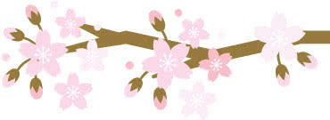 樱花漫天，是恋爱的季节？