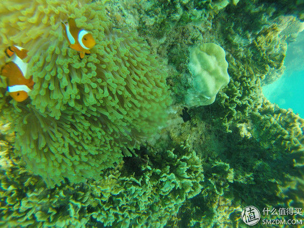 头脑一热，去马来西亚热浪岛了