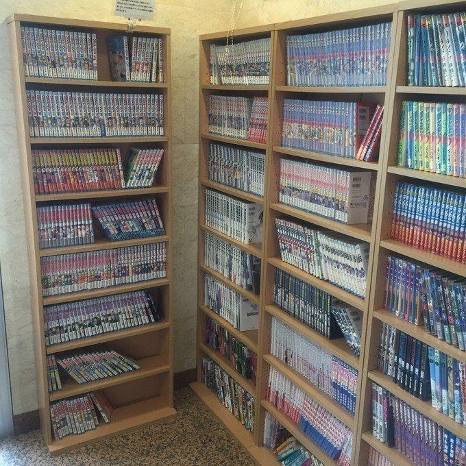 日本樱花季怎小鹿和漫画的撒欢?【名古屋-京蜂信结局错过图片