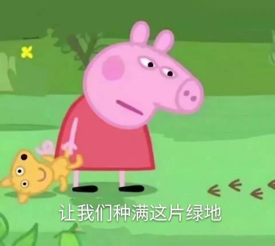 给我一堆蚊子我种遍两院你是哪个青蛙的v蚊子路子还是庄园蚂蚁一个种子能生卵吗图片