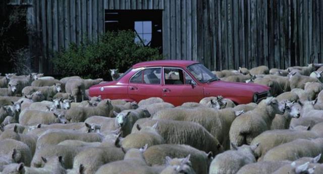 农村养殖业补贴政策