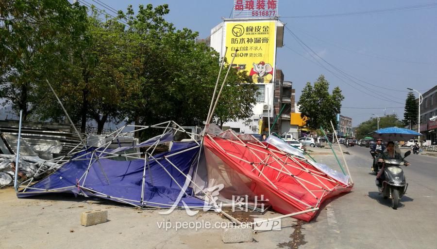 广西忻城遭短时雷雨大风 厂房被吹翻树木连根拔起