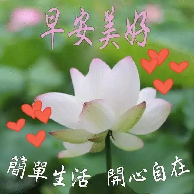 微信早安问候语 最新早上好问候语动态图片大全
