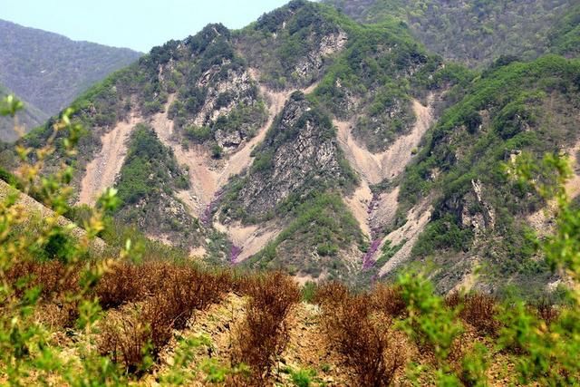 白山户外群关门砬子观映山红休闲一日游