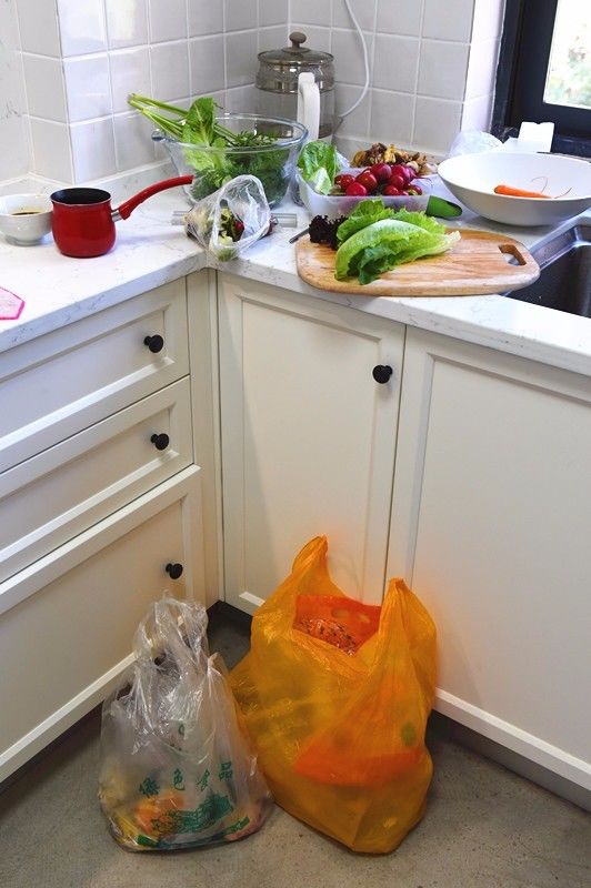 爱适易P10垃圾处理器体验,粉碎食物残渣,统统