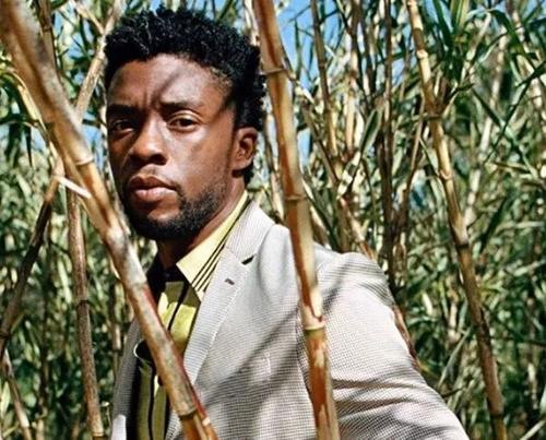 《黑豹》男主\/《复联3》导演再度合作动作新片