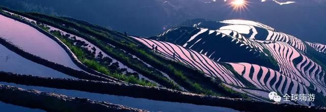 不小心惊艳了世界