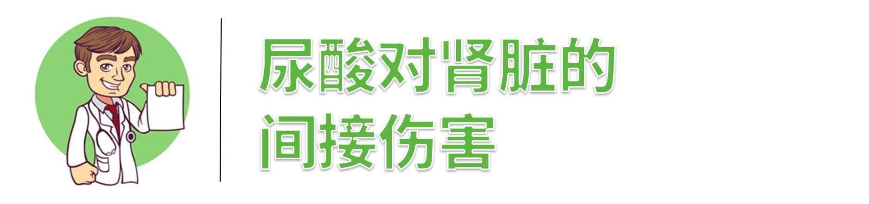 被人忽视的痛风症状:高尿酸竟能引起肾衰竭?