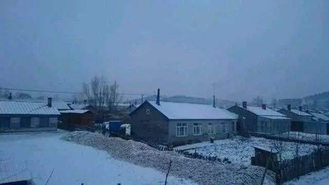 为什么东北下雪要晒饺子?南方人看不懂,北方