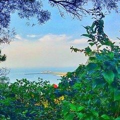 国家为什么不管北海