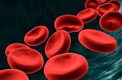 天然的降脂药被找到了,坚持每天吃点,清除血