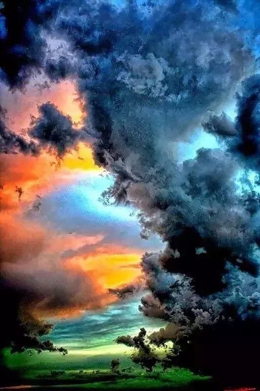 美丽的风景不在