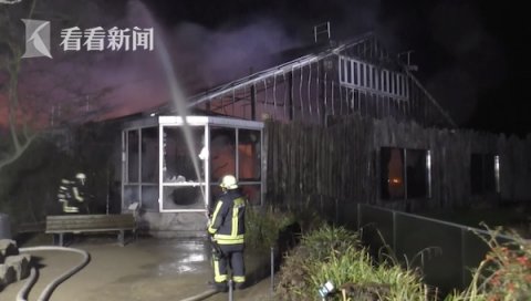 德国动物园跨年夜失火