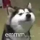 定了，这5类人不能建房！马上就实施……