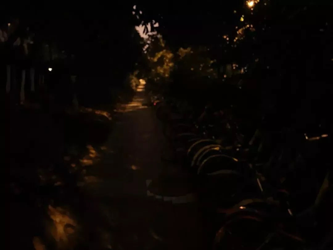 华为 P30 系列发布:最强拍照手机,夜间样张吊打