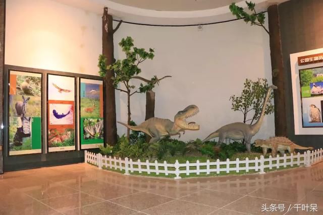五一小长假，达州这个国家级地质博物馆将免费开放！