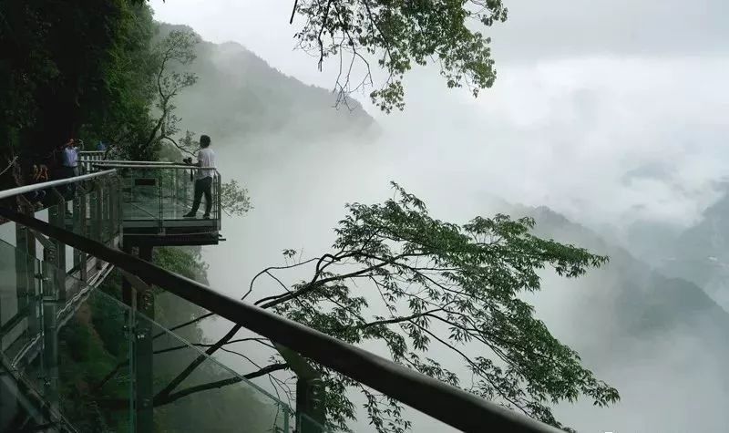 终于来了!浙江最长高空玻璃栈道开放!敢走我敬你是条汉子!