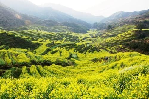 不负春光好时节，全国10大最美赏花地拿走不谢~~