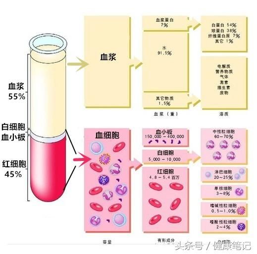 白血病为何会叫白血病?患者的血液会变白色吗