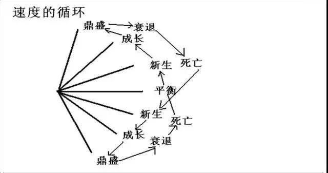 中国股市高含金量绝密选股教程，堪称散户赚钱致富秘籍！值得收藏