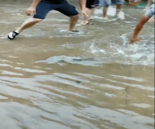 大雨刚过 市民纷纷大街上忙抓鱼