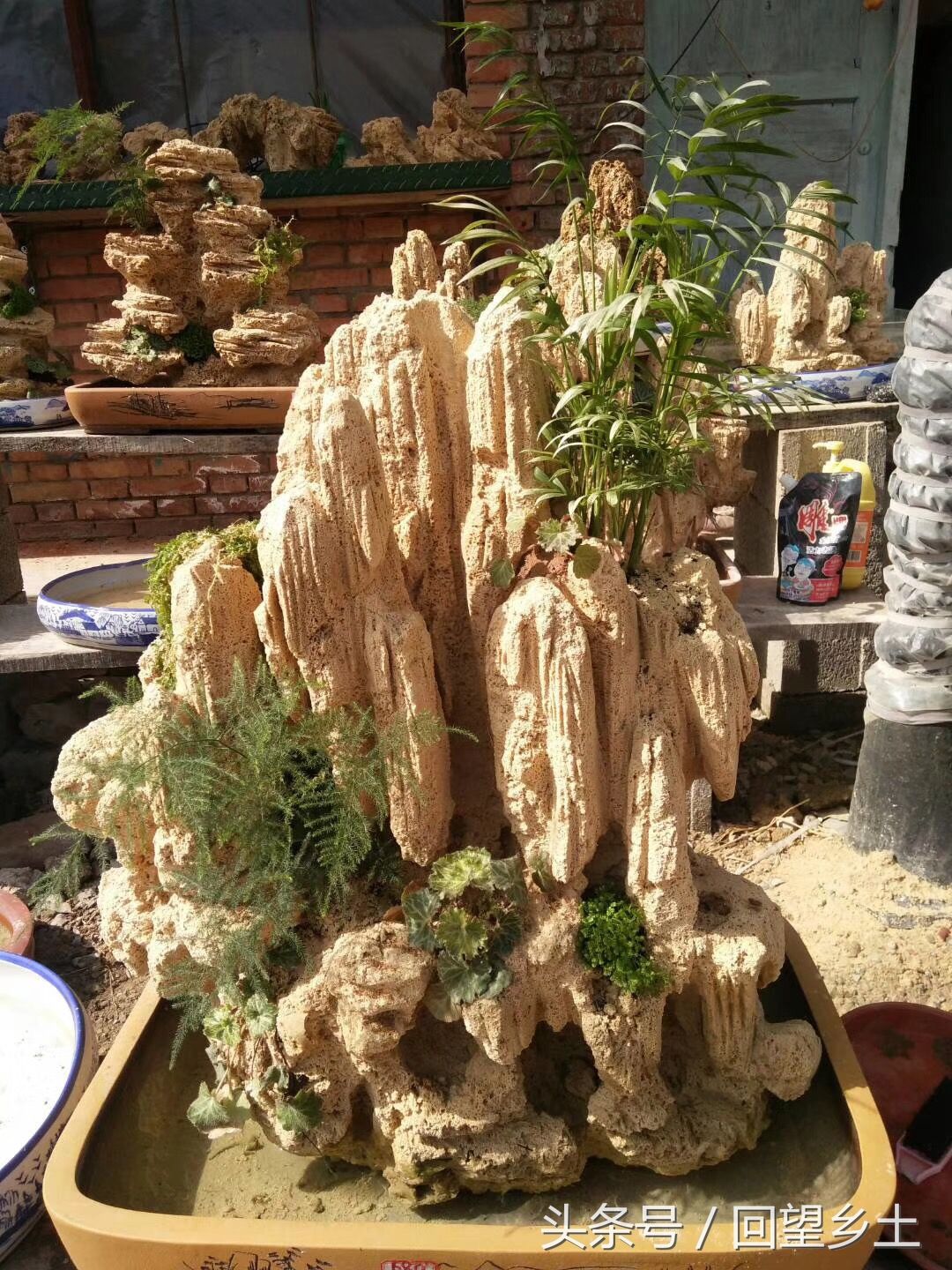 豫西卢氏山区有种石头叫上水石稍加雕琢就是一件盆景作品喜欢吗?