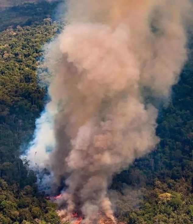 澳大利亚被烧了